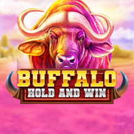 Buffalo Hold and Win